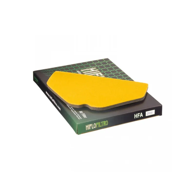 Expresní Doručení Vzduchový filtr HIFLOFILTRO HFA2909