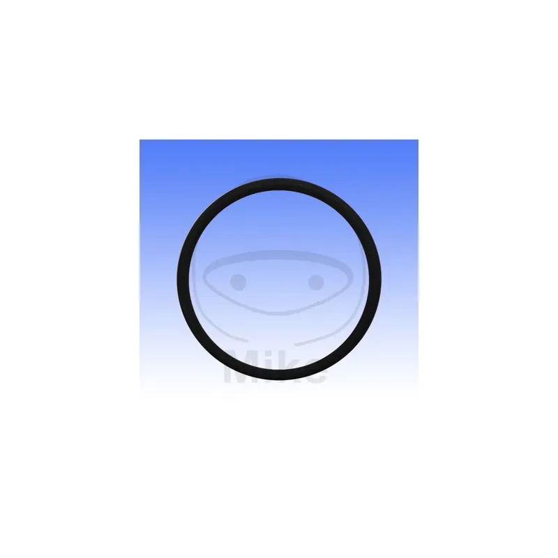 Těsnění svodu výfuku ATHENA M753004300094 O-kroužek 43X3 mm Bezpečná Platba