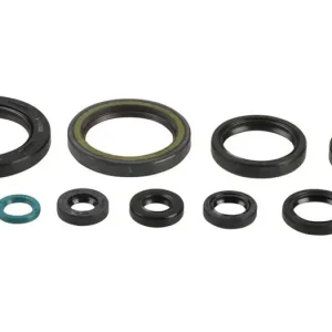 Sada gufer motoru ATHENA P400210400239 Jen Po Omezenou Doba