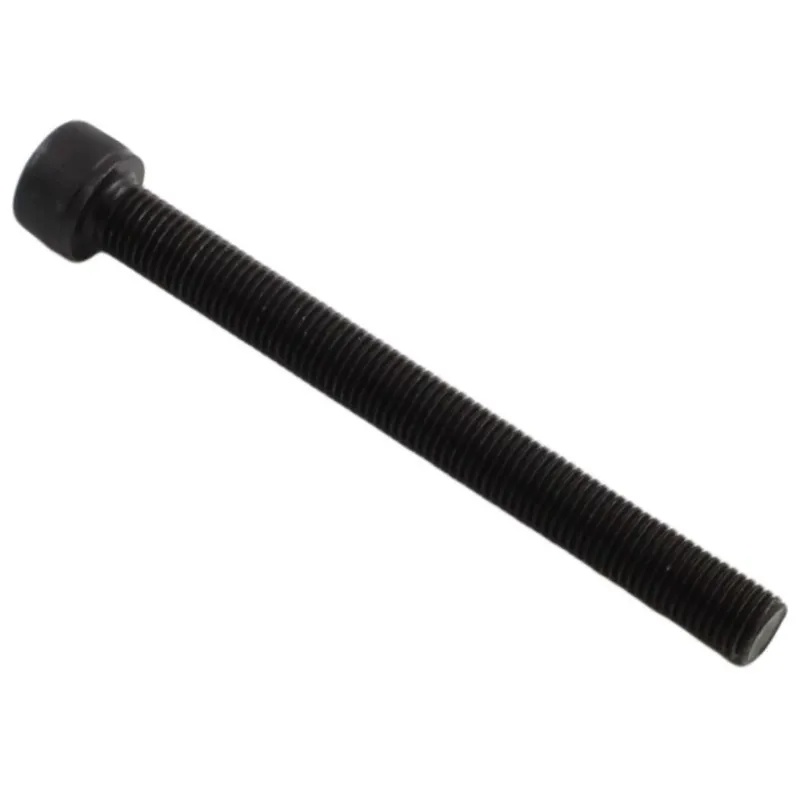 Objednat Nyní Šroub M10x100x1,25mm