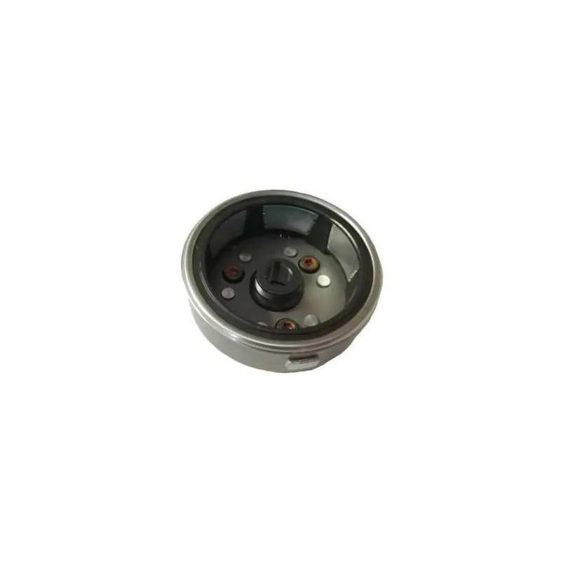 Rotor magneta XMOTOS 125cc Velkoobchod