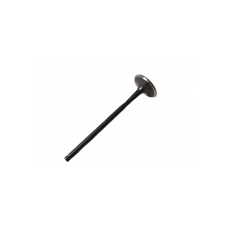 Ventil sací XMOTOS 250cc V4 Horká Nabídka