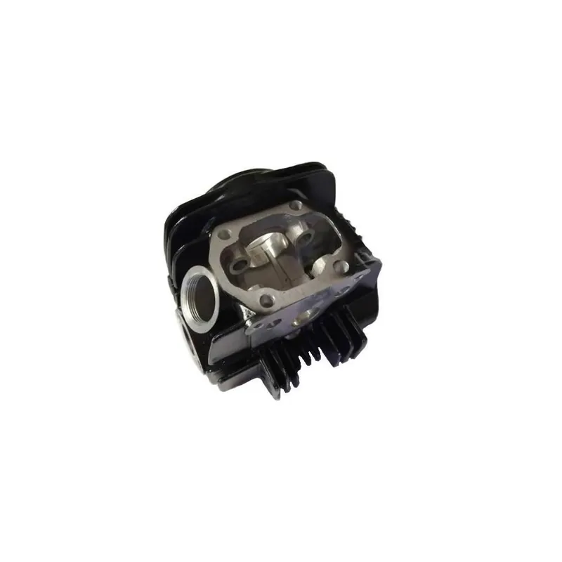 Speciální Cena Hlava motoru XMOTOS XB33 125cc