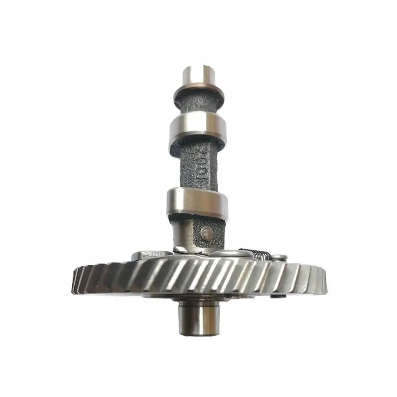 Vačka s ozubeným kolem pro Buggy K3 Expresní Doručení