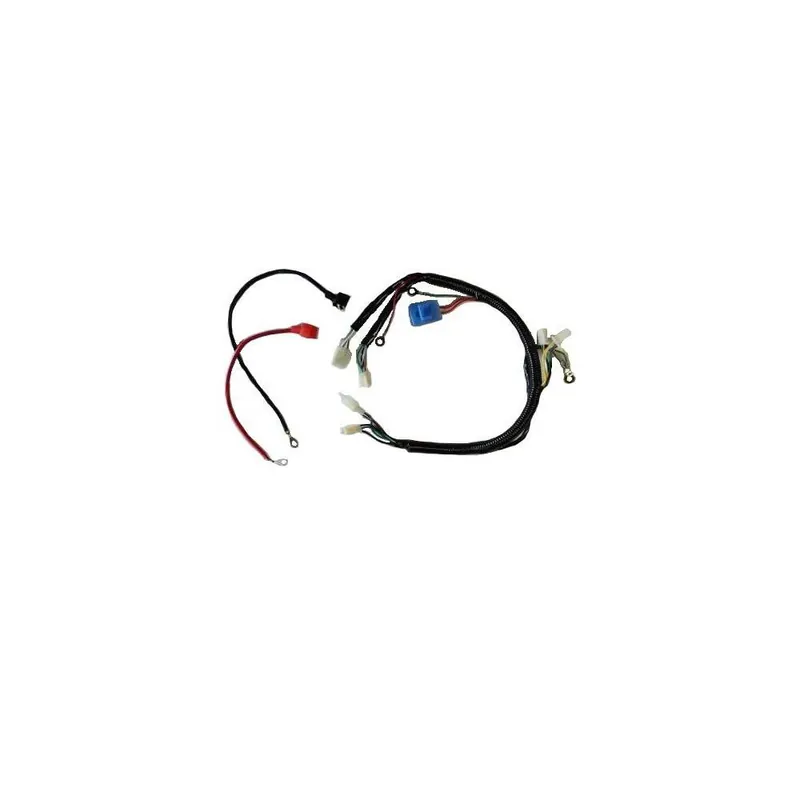 Autentický Elektroinstalace XMOTOS XB29 (bez přípravy pro světlo)