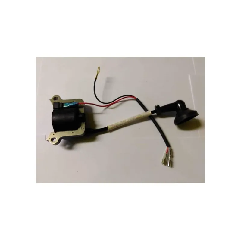 Nakupujte Hned CDI s indukční cívkou pro 2-taktní boční motorový kit