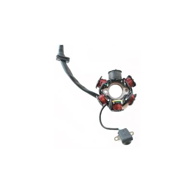 Magneto - cívky motoru XMOTOS 60cc 4t Originální