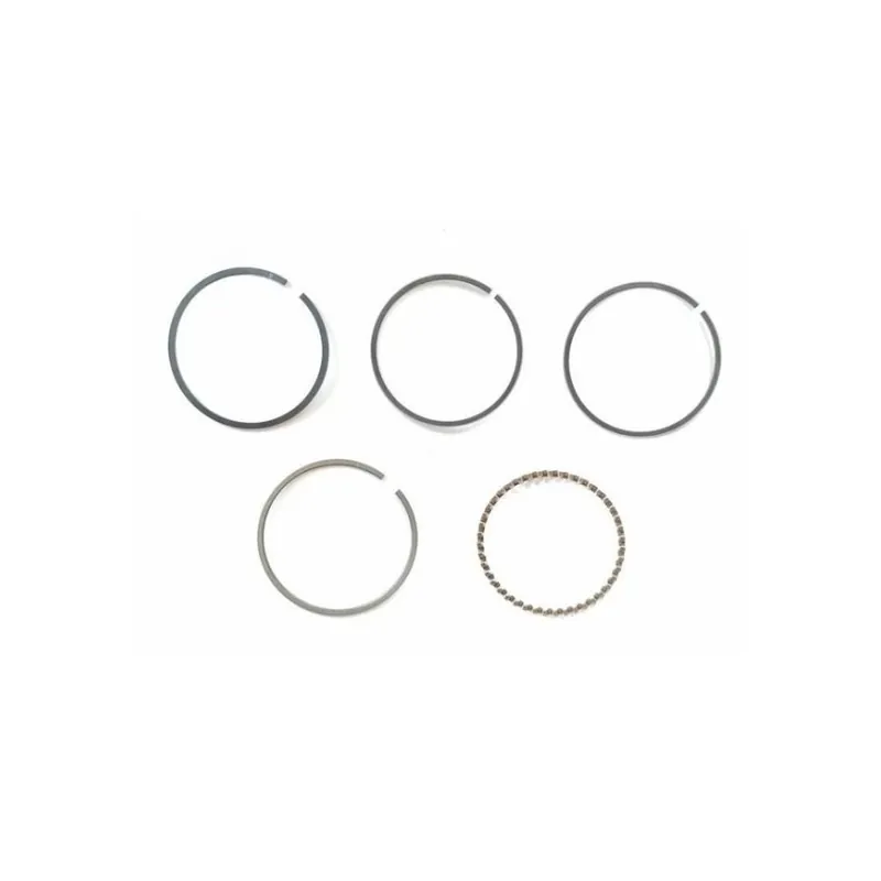 Profesionální Pístní kroužky motoru XMOTOS 60cc 4t