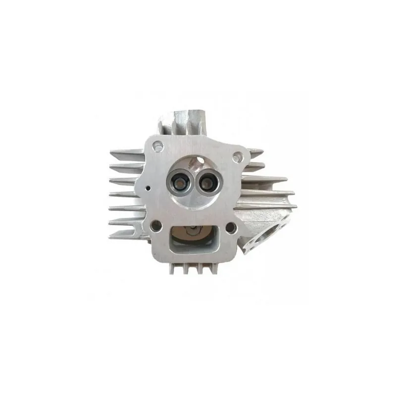 Hlava motoru XMOTOS 60cc 4t Luxusní