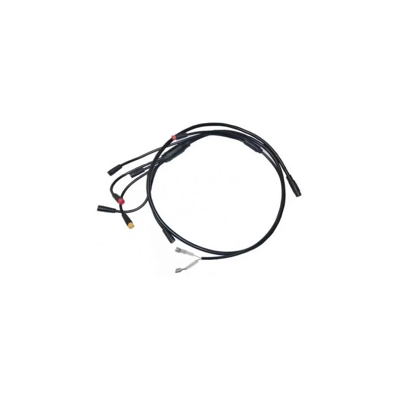 Tovární Cena Elektroinstalace X-scooters XR01 EEC 36V