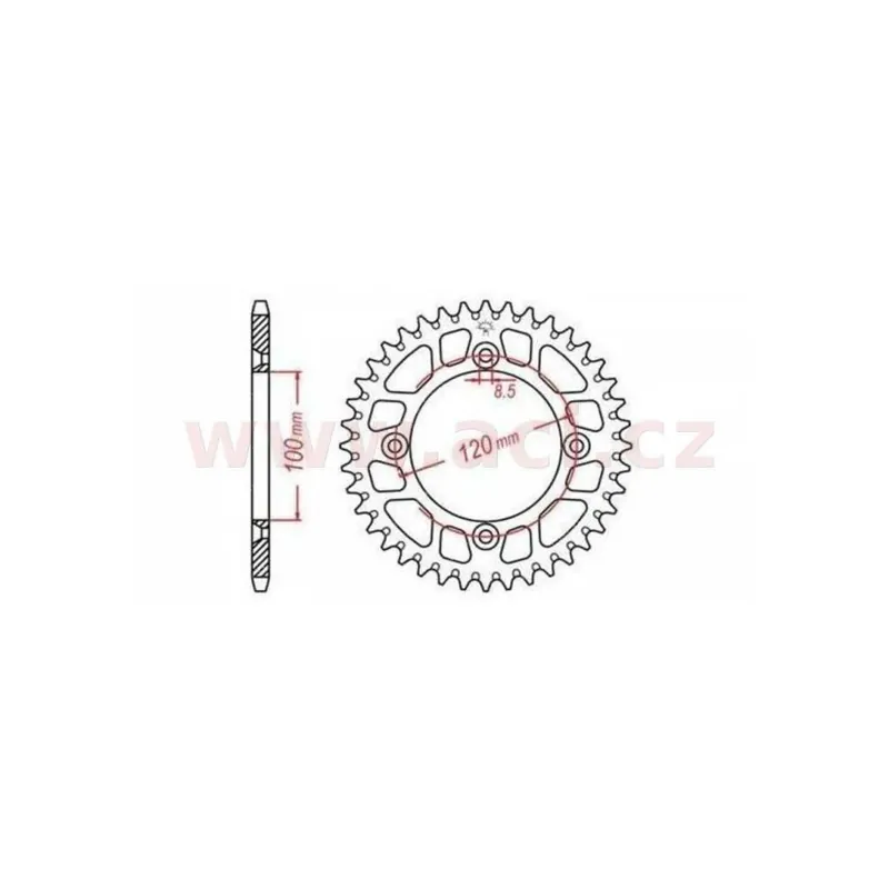 Duralová rozeta pro sekundární řetězy typu 428, JT - Anglie (48 zubů) Luxusní