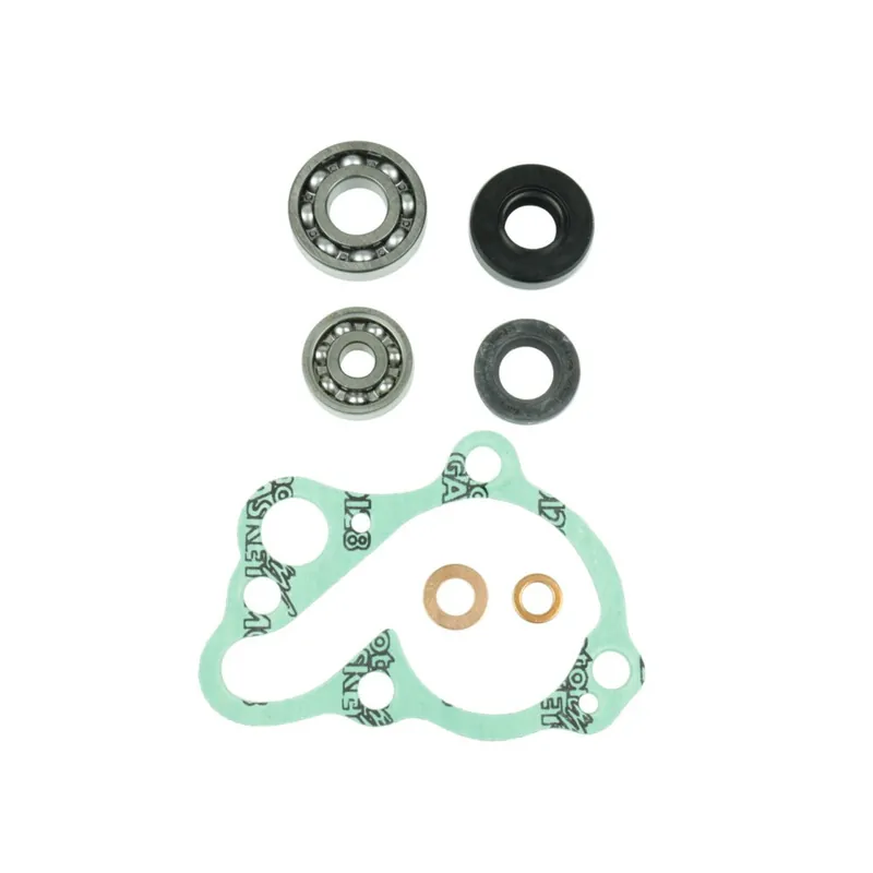 Těsnění vodní pumpy sada ATHENA P400210348085 + bearings Výprodej