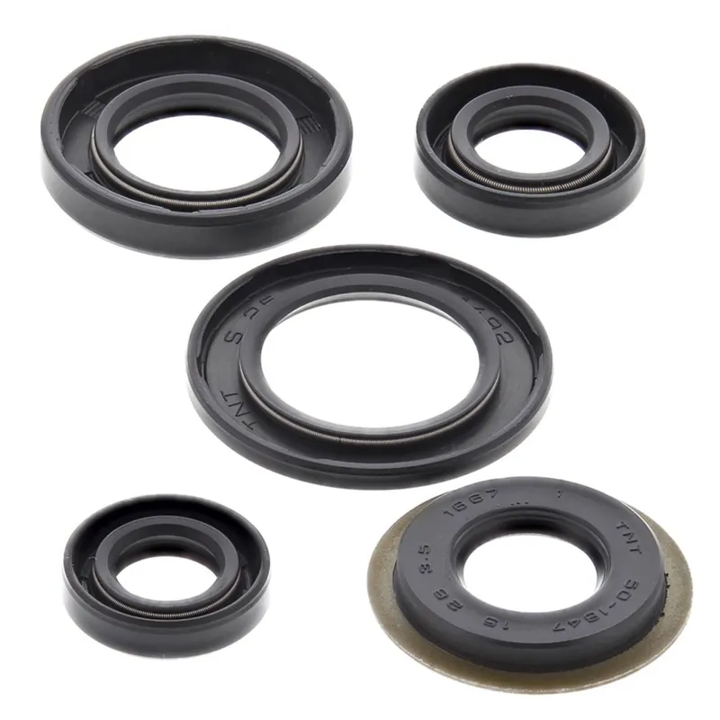 Sada gufer motoru WINDEROSA EOSK 822308 Ověřený