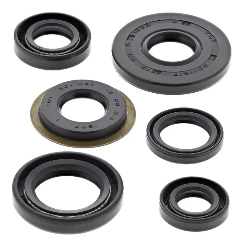 Poslední Šance Sada gufer motoru WINDEROSA EOSK 822307