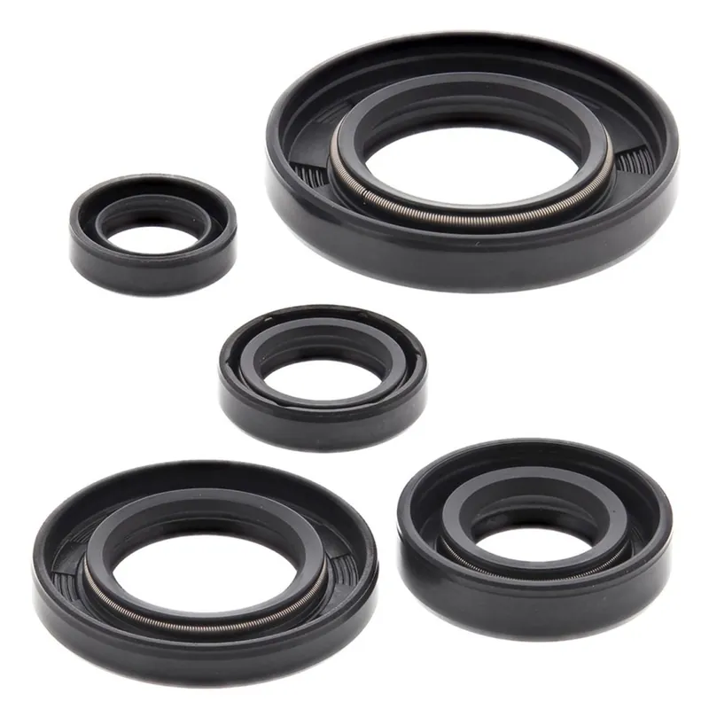 Sada gufer motoru WINDEROSA EOSK 822165 Nakupujte Hned