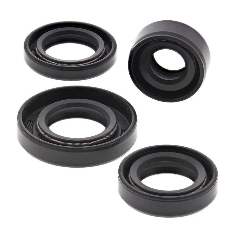 Sada gufer motoru WINDEROSA EOSK 822162 Akční Cena