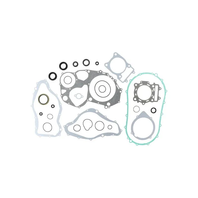 Hromadná Objednávka Sada těsnění motoru kompletní vč. gufer motoru WINDEROSA CGKOS 811839