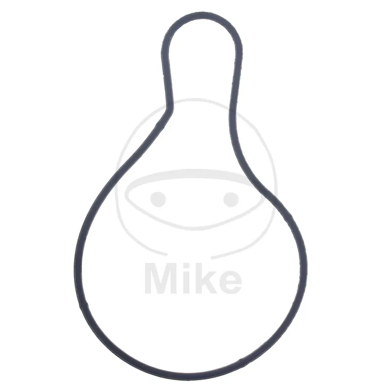 Speciální Cena Těsnění vodní pumpy ATHENA S410485024016