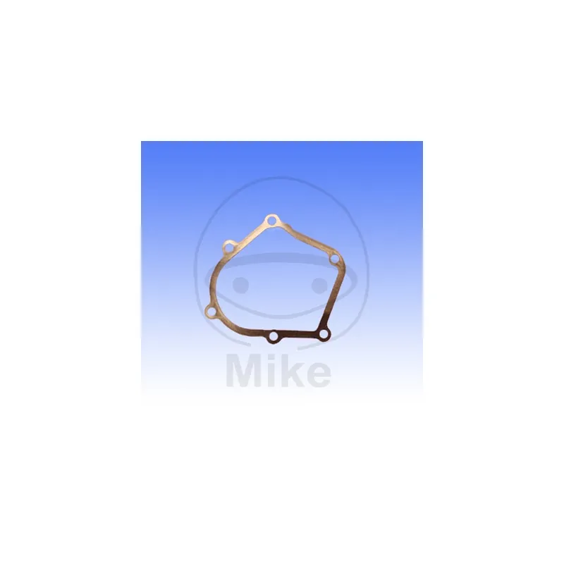 Celosvětová Doprava Těsnění víka zapalování ATHENA S410250021086