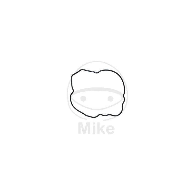 Těsnění víka alternátoru ATHENA S410250017049 Značkový