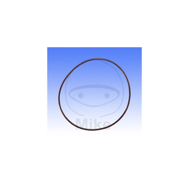 Těsnění hlavy válce ATHENA M752610370004 vnější 2.62X103.7 mm Nakupujte Hned