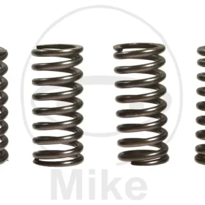 Záruka V Ceně Sada spojkových pružin EBC CSK016 4