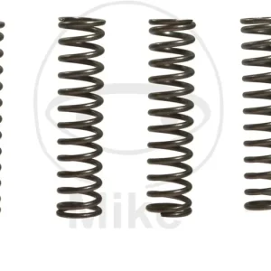 Oblíbený Sada spojkových pružin EBC CSK056 4